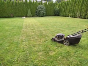 Read more about the article Koszenie trawy we wrześniu, o co zadbać?