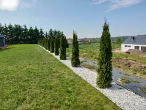 Read more about the article Dlaczego warto wybrać profesjonalną pomoc w sadzeniu roślin przy zakładaniu ogrodu?