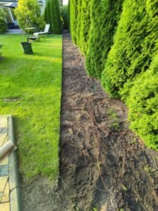 Read more about the article Wycinanie darni – kiedy warto postawić na profesjonalne usługi ogrodnicze?