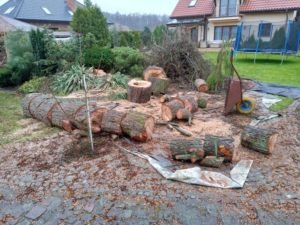 Read more about the article Frezowanie pni drzew. Jak przebiega i dlaczego to najlepsze rozwiązanie po wycince?