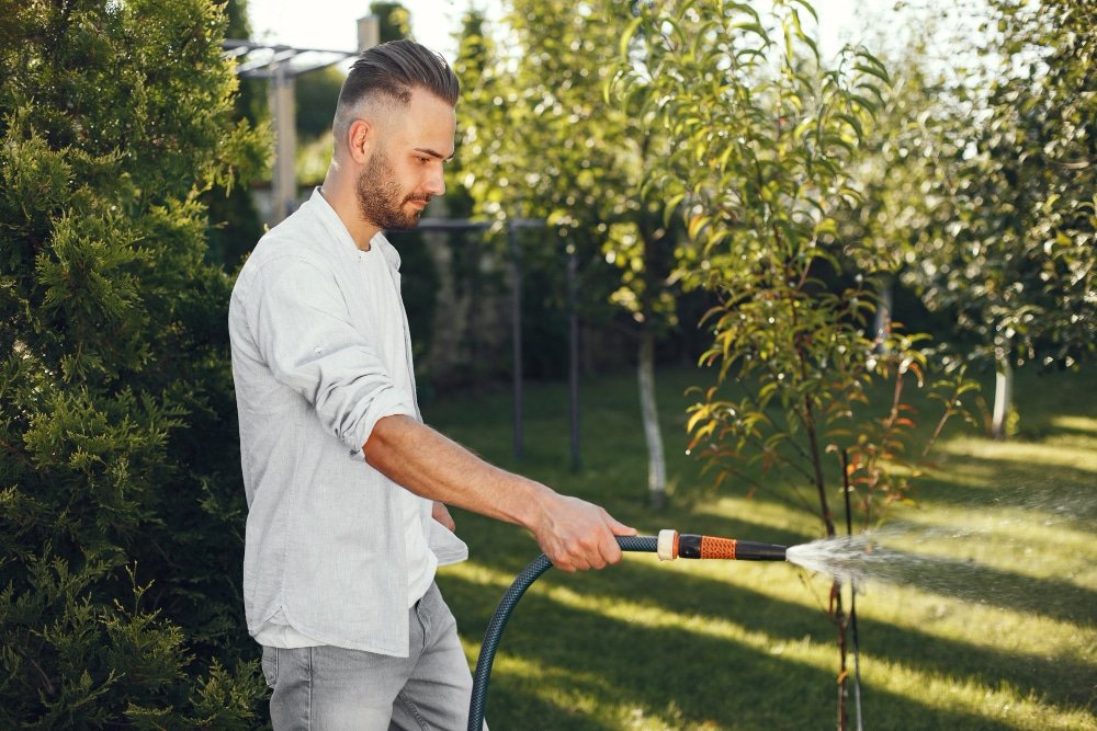 Read more about the article Kiedy i jak najlepiej podlewać rabaty w lecie?