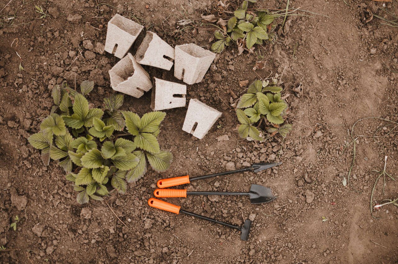 Read more about the article Montaż i zakładanie ogrodu w trudnym terenie – co warto wiedzieć?