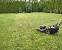 Koszenie trawy Koszenie trawy