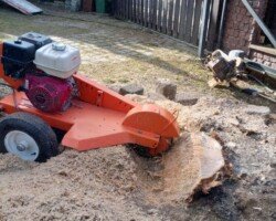 Frezowanie i usuwanie pni