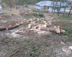 Przygotowywanie terenu pod inwestycję