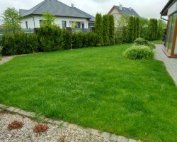 Pielęgnacja trawnika